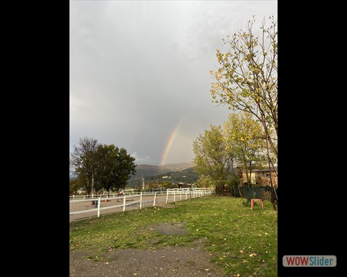 La quiete dopo la tempesta